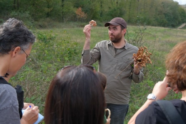Ormanya'da mantar avı düzenlendi