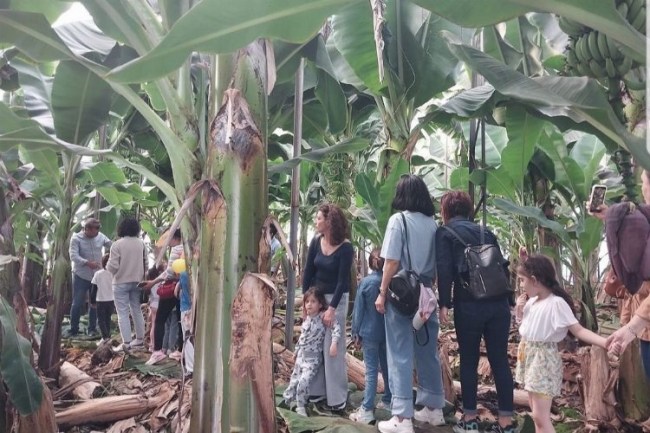 Milli eğitimden Türkiye'de bir ilk! Çağdaş terapi ve doğaya uyum projesi