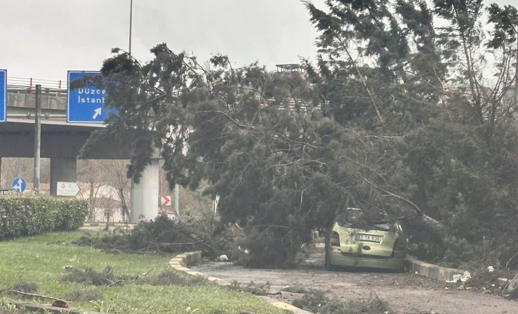 Fırtına’da devrilen ağaç aracın üstüne düştü