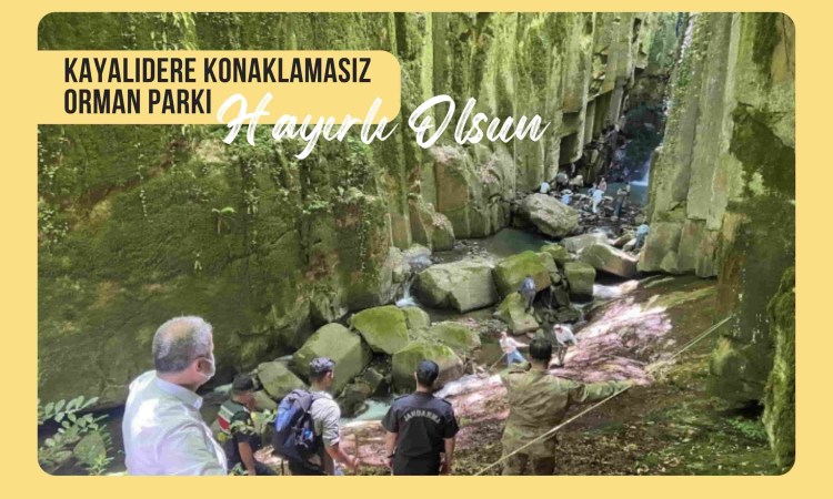 Kayalıdere Orman Parkı oldu