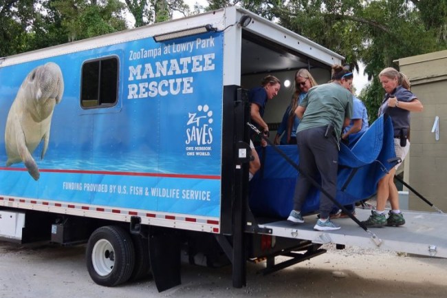 2023'ün en sıra dışı 5 teslimatı!