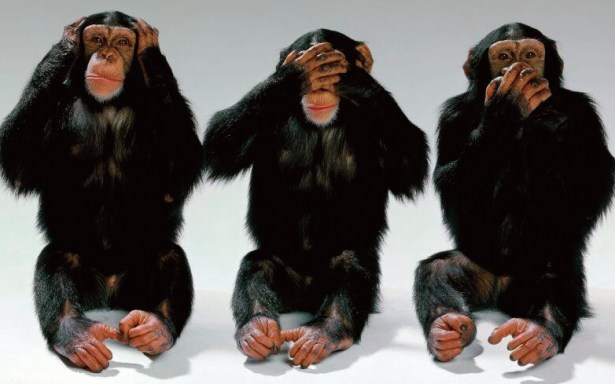 DEMOKRATİKLEŞME SÜRECİ