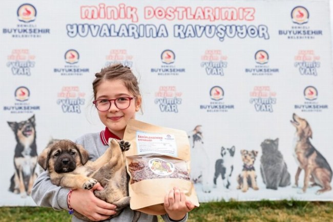 Şefkat yuvası 2023'te 28.665 can dostu ağırladı