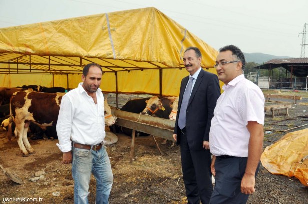 KURBAN PAZARI KURULUYOR