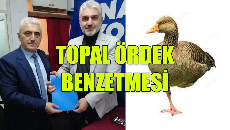 Gülüç AK Parti topal ördek!..