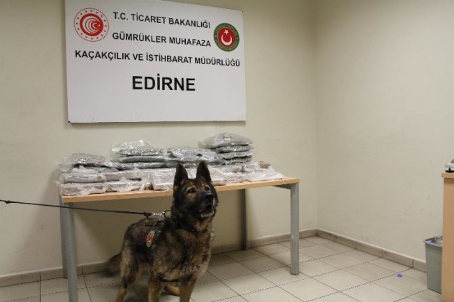 Kapıkule'de 33 kilogram uyuşturucu yakalandı