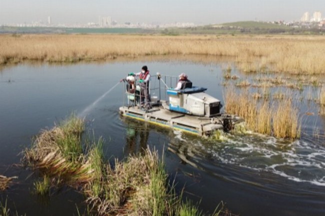 Havaların erken ısınmasıyla vektörle mücadele hız kazandı