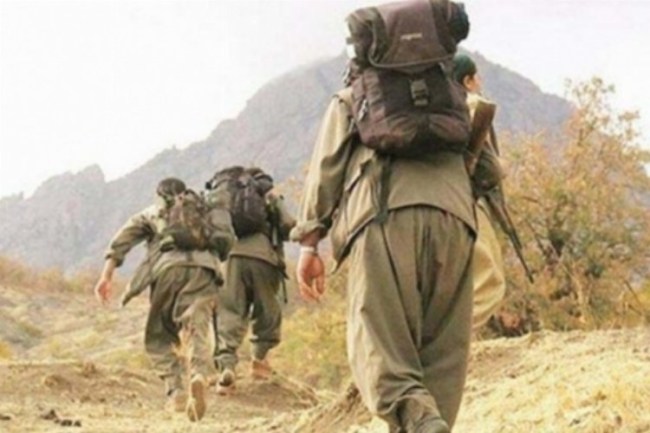 1 terörist Habur'da teslim oldu!