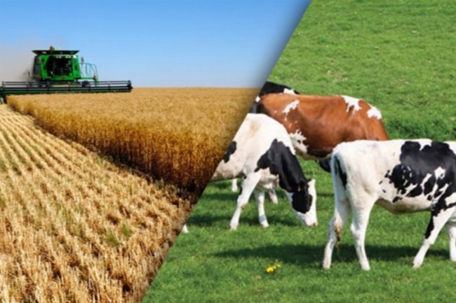 CHP'den tarım ve hayvancılık seferberliği