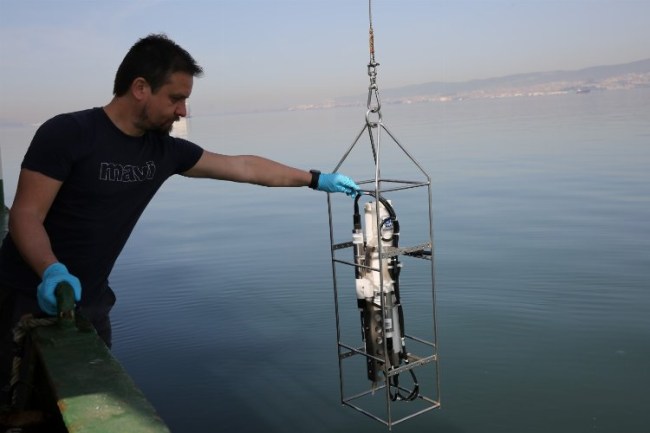 İzmit Körfezi'nde biyoçeşitlilik araştırılıyor