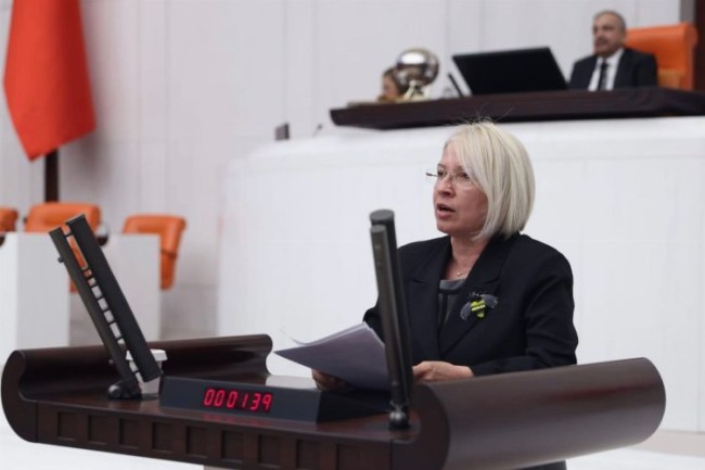 Milletvekili Nurten Yontar, Emekliler Yılı'nda emekliler açlıkla savaşa terk edilmemeli