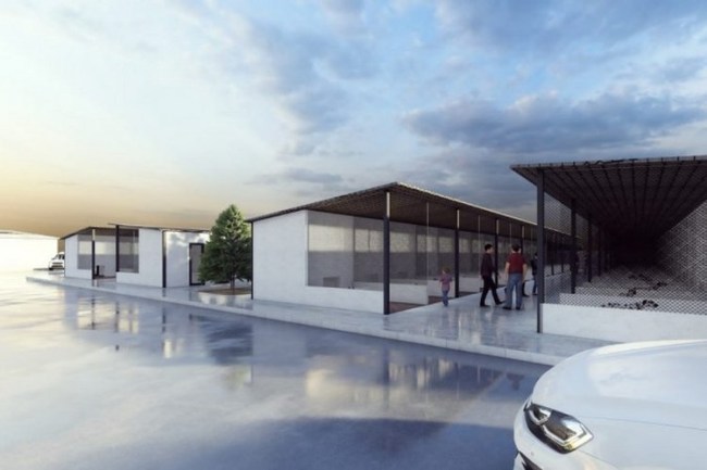 Başkan Palancıoğlu'ndan yeni proje: Sokak hayvanları köyü