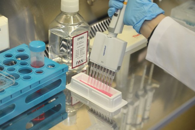 BTÜ'lü öğrenciden fark yaratacak proje