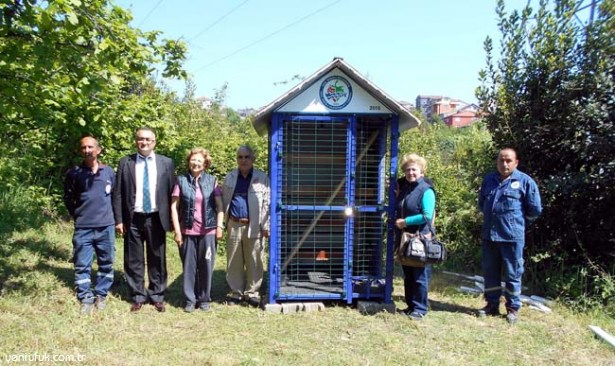 BELEDİYEDEN SOKAK KEDİLERİNE YENİ BESLENME EVİ