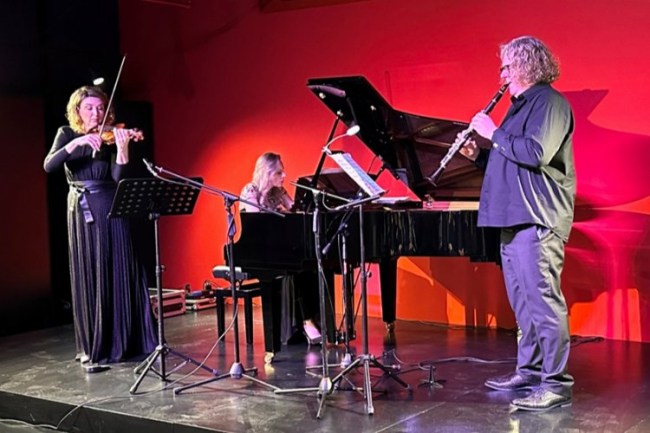 Bursa Nilüfer'de "Contrasts" konseri