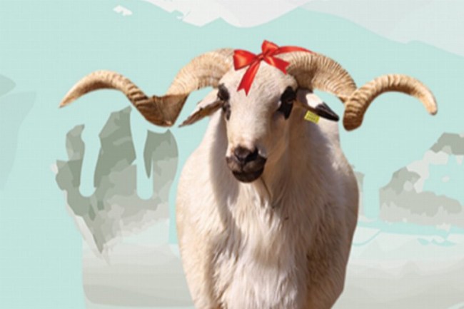 Gebze'de kurban satış alanı kayıtları başladı