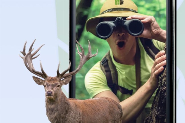 Ormanya'nın doğal güzellikleri cebinizde