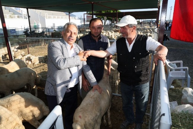 Talas'ta kurban pazarına başvurular başladı
