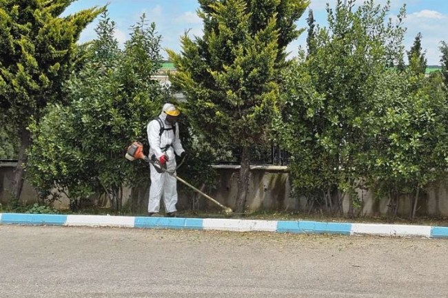 Kocaeli Dilovası'nda yaz temizliği