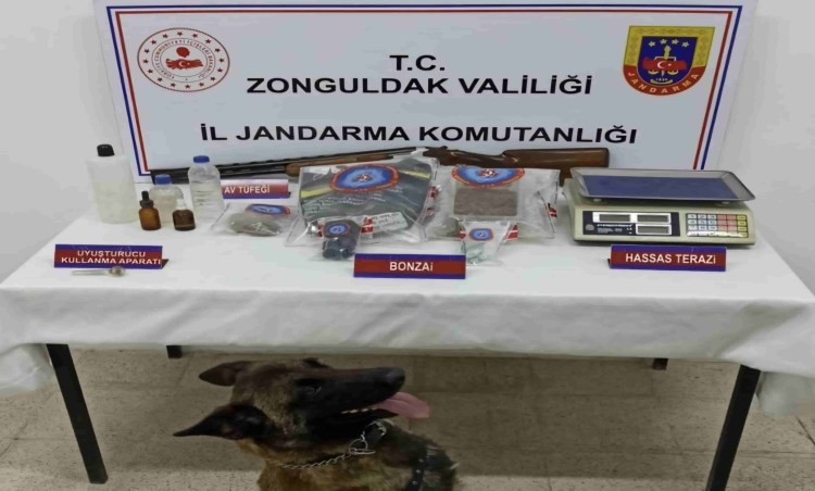 Alaplı’da uyuşturucu operasyonu