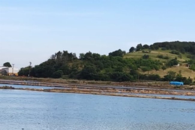 İpsala'da çeltik ekim müracaatlarında son gün 25 Haziran