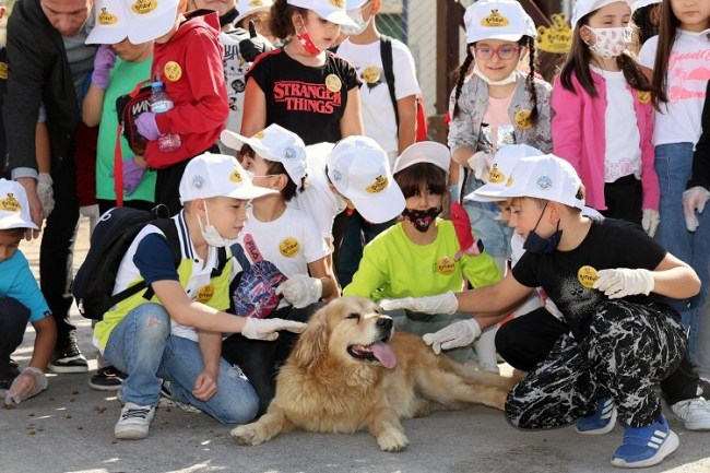 Kayseri Talas'ta Türkiye'ye örnek Pati Evi