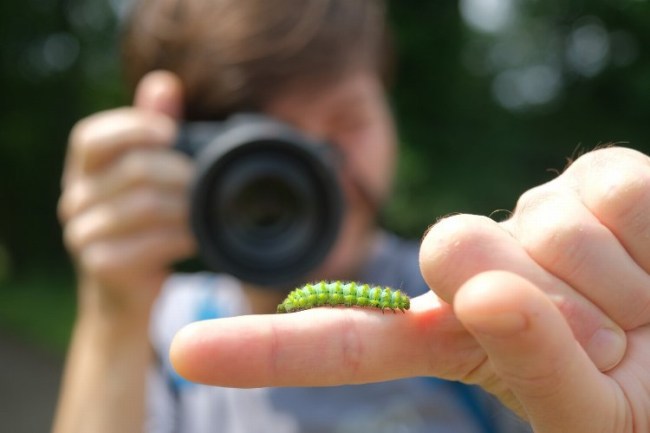 Ormanya "Tür Say" etkinliğinde 462 gözlem gerçekleşti