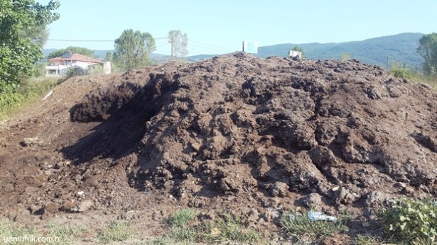 SUBAŞI'NDAN 'PİS' KOKULAR GELİYOR!..