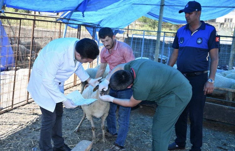 Kdz.Ereğli Belediyesi kurban pazarını denetledi