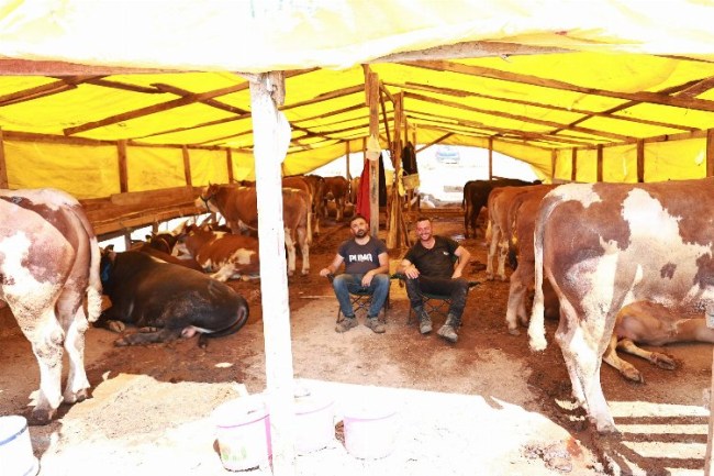 Gebze'de kurban pazarında satışlar başladı