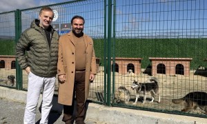 Tazminat parasıyla köpeklere mama aldı