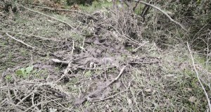 Zonguldak Ereğlide su kirliliği iddiası büyüyor: Ketenciler Cariyeli Mahallesinde tedirginlik