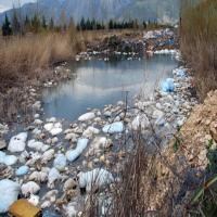 Koruma altındaki gölde çevre katliamı