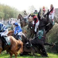 At yarışı değil ölüm yarışı