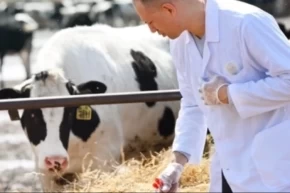 Tarımsal girdiler Nisanda da hız kesmedi... Veteriner harcamaları ve hayvan yemi revaçta
