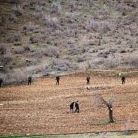 Tunceli'de dev operasyon