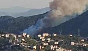 Bölücek-Topçalı arası yangın