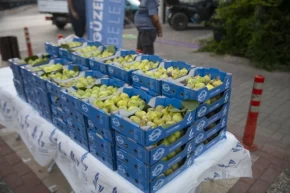 İzmir Güzelbahçede dalında kuruyan bardacağı belediye aldı