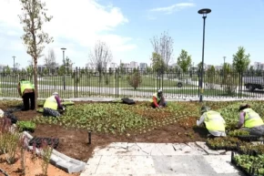 Malatya çiçek bahçesine döndü