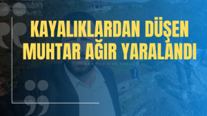 Kayalıklardan düşen muhtar ağır yaralandı