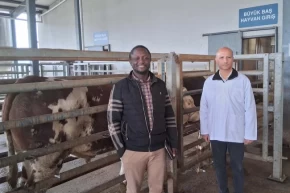 Kocaeli Büyükşehir mezbahasına örnek tesis vurgusu