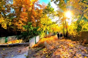 Mardin Yeşillide sonbahar büyüsü Özel Haber