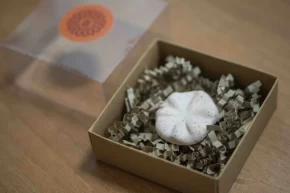 İzmir Bornovanın 8 bin 500 yıllık hafızası gün yüzünde