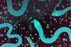 Oyun gibi gözükse de gerçekte siber casusluk