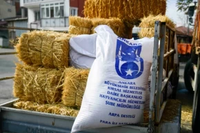 Ankarada mandacılara yüzde yüz hibeli yem desteği