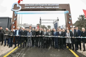 Balıkesirden sokak hayvanlarına sıcak yuva