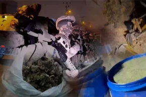 29 ilde dev uyuşturucu operasyonu 1,6 ton madde ve 750 bin hap ele geçirildi