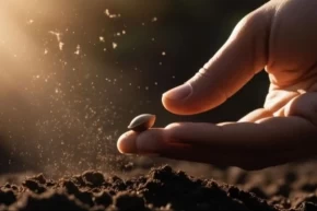 Tohumculuk sektöründeki Rekabet soruşturması genişletildi... O soruşturmada yeni firmalar eklendi