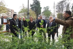 Yeni Cuma Parkı yaz aylarında botanik bahçesine dönüşecek