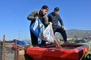 Manisanın tohumları Sarıçalının merasını yeşertecek